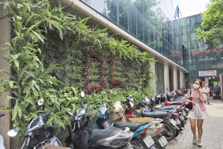 'Bức tường xanh bệnh viện', phong trào ý nghĩa nhằm bảo vệ môi trường và 'xanh hóa' bệnh viện- Ảnh 15. 'Bức tường xanh bệnh viện', phong trào ý nghĩa nhằm bảo vệ môi trường và 'xanh hóa' bệnh viện- Ảnh 15.
