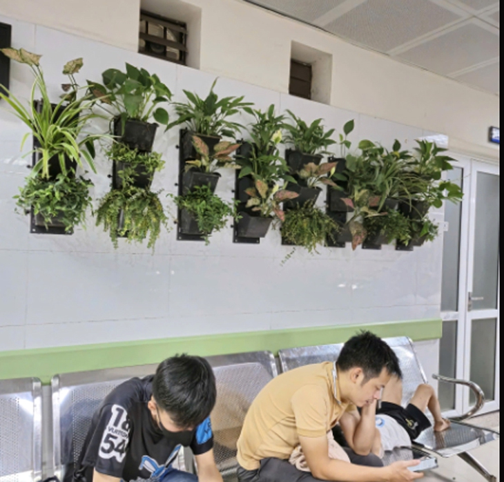 'Bức tường xanh bệnh viện', phong trào ý nghĩa nhằm bảo vệ môi trường và 'xanh hóa' bệnh viện- Ảnh 8. 'Bức tường xanh bệnh viện', phong trào ý nghĩa nhằm bảo vệ môi trường và 'xanh hóa' bệnh viện- Ảnh 8.