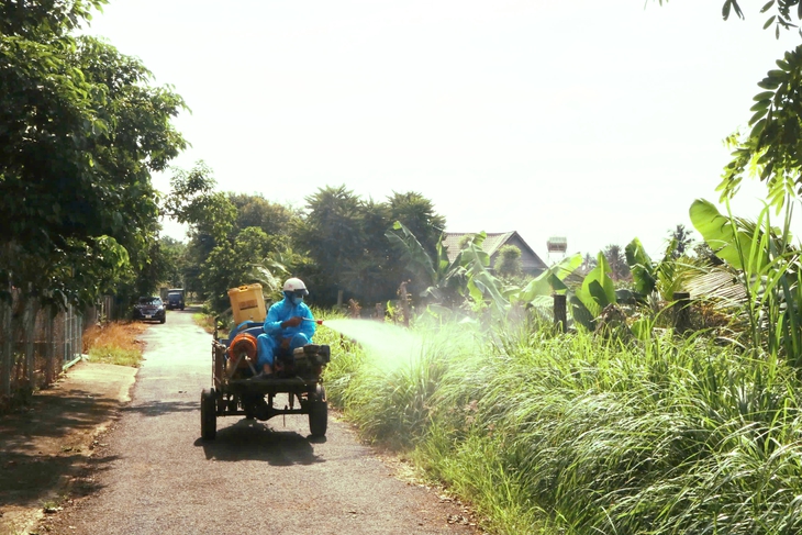 Ngăn dịch tả lợn Châu Phi lây lan ở Đắk Lắk- Ảnh 3. Ngăn dịch tả lợn Châu Phi lây lan ở Đắk Lắk- Ảnh 3.