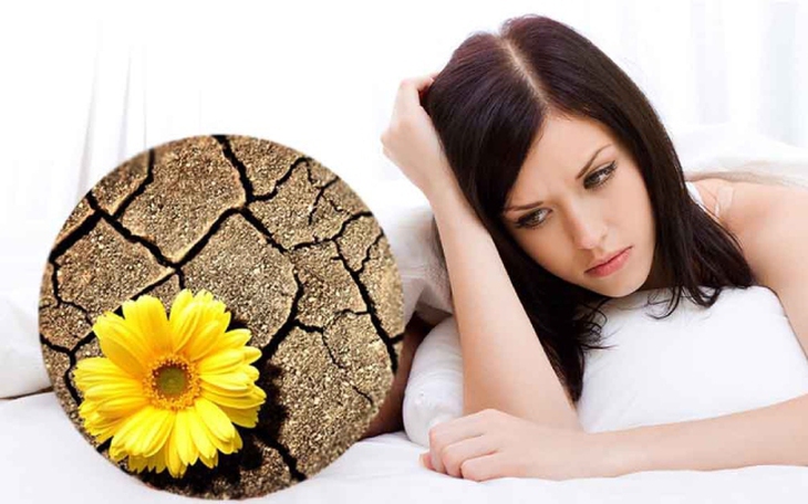Ăn đậu nành giúp cải thiện khả năng tình dục ở phụ nữ mãn kinh- Ảnh 4.