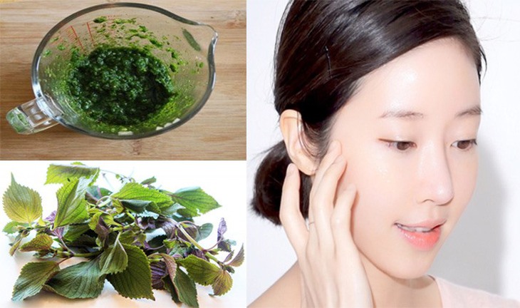 Uống nước lá tía tô có trắng da, hết mụn trứng cá không?- Ảnh 1.