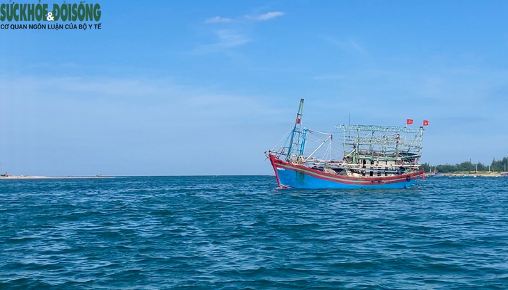 Ngư dân vươn khơi, bám biển cùng cờ Tổ quốc- Ảnh 6.