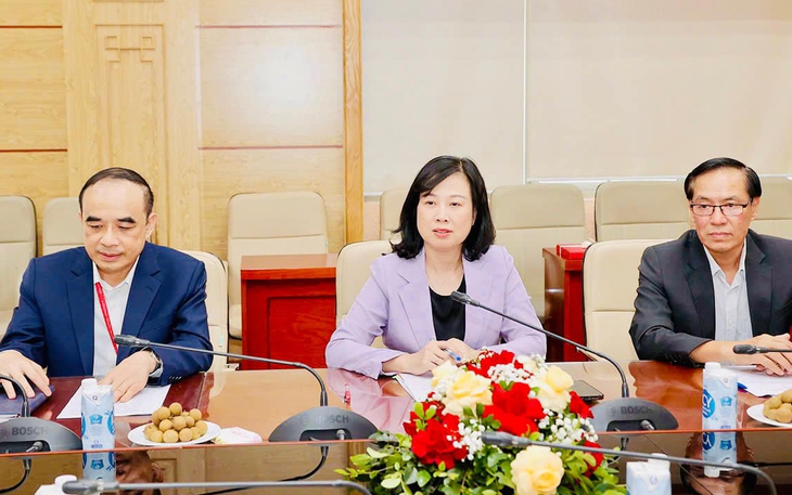 Bàn thảo hợp tác về điều trị và đào tạo nhân lực y tế Việt Nam - Nhật Bản