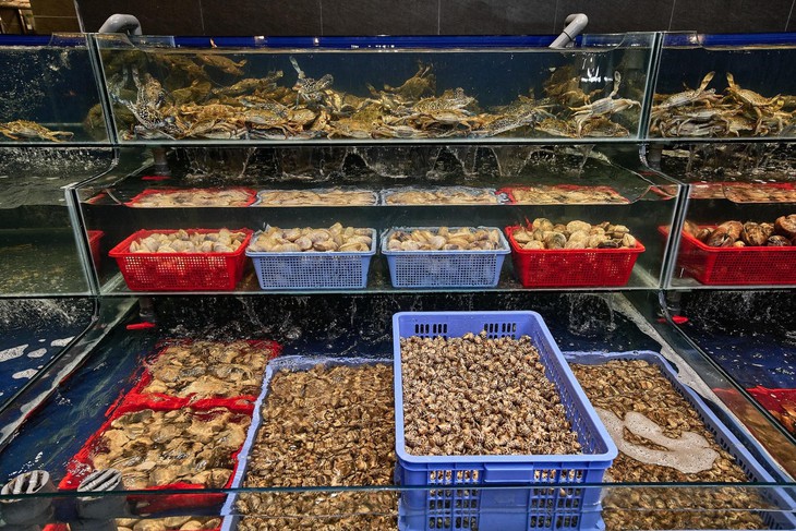 Buffet hải sản Cửu Vân Long: Buffet hải sản Cửu Vân Long: