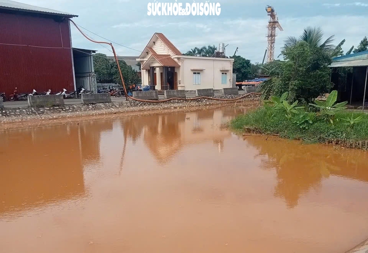 Hải Phòng: Kênh Cẩm Văn II đổi màu bất thường, người dân lo bị ô nhiễm- Ảnh 1.