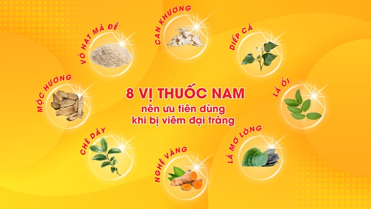 8 cây thuốc nam nên dùng khi bị viêm đại tràng- Ảnh 2.