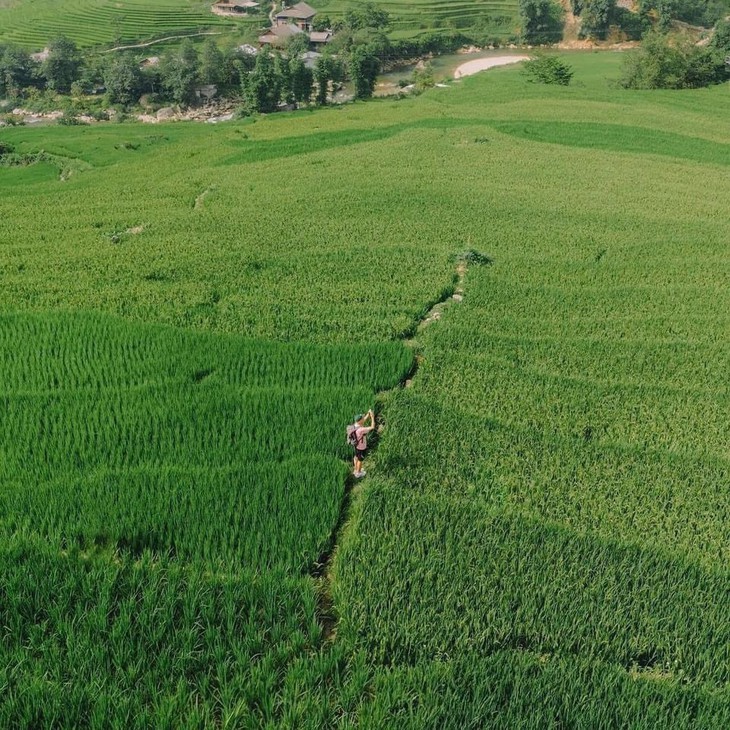 Vẻ đẹp siêu thực của Sa Pa mùa lúa xanh- Ảnh 4. Vẻ đẹp siêu thực của Sa Pa mùa lúa xanh- Ảnh 4.