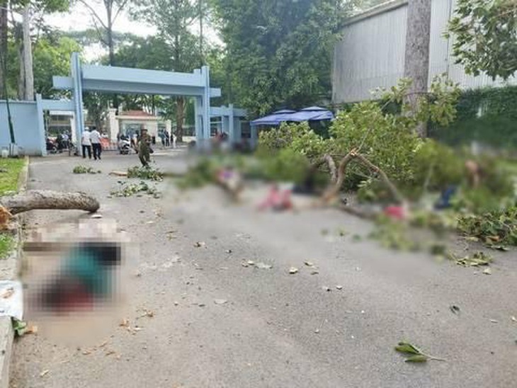 Cành cây tại Công viên Tao Đàn rơi trúng nhóm người tập thể dục, nhiều người thương vong- Ảnh 1. Cành cây tại Công viên Tao Đàn rơi trúng nhóm người tập thể dục, nhiều người thương vong- Ảnh 1.