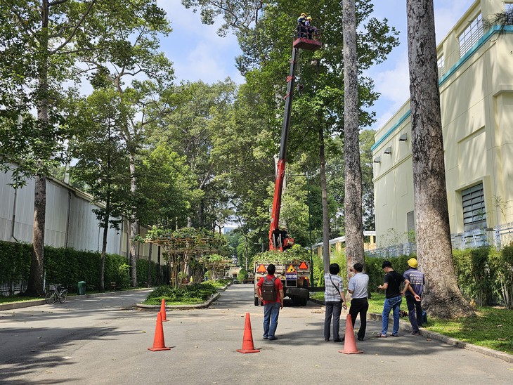 Cành cây tại Công viên Tao Đàn rơi trúng nhóm người tập thể dục, nhiều người thương vong- Ảnh 2. Cành cây tại Công viên Tao Đàn rơi trúng nhóm người tập thể dục, nhiều người thương vong- Ảnh 2.