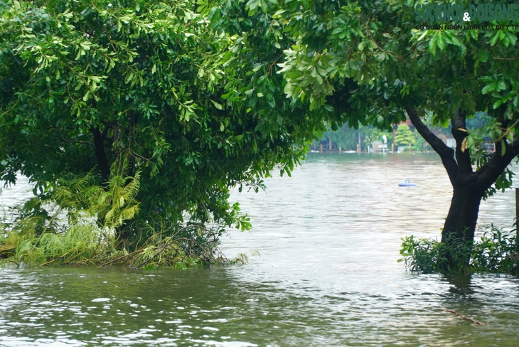 Ảnh: Hồ Văn Quán (Hà Nội) thành 'biển' nước tràn ngập các ngả đường- Ảnh 3. Ảnh: Hồ Văn Quán (Hà Nội) thành 'biển' nước tràn ngập các ngả đường- Ảnh 3.