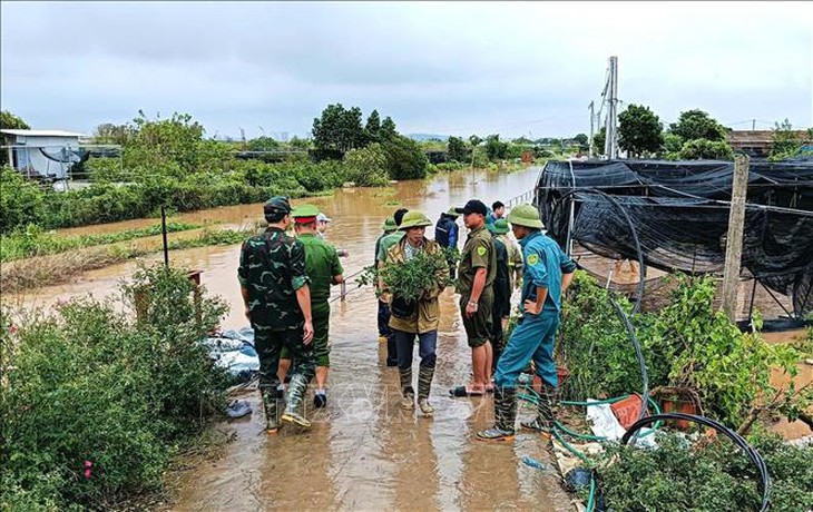 Sẵn sàng lực lượng, chủ động triển khai các phương án hộ đê- Ảnh 7. Sẵn sàng lực lượng, chủ động triển khai các phương án hộ đê- Ảnh 7.