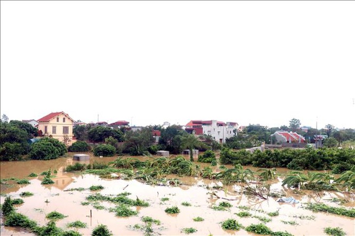 Vĩnh Phúc, Hưng Yên phát lệnh báo động lũ cao trên sông Phó Đáy và sông Luộc- Ảnh 2. Vĩnh Phúc, Hưng Yên phát lệnh báo động lũ cao trên sông Phó Đáy và sông Luộc- Ảnh 2.