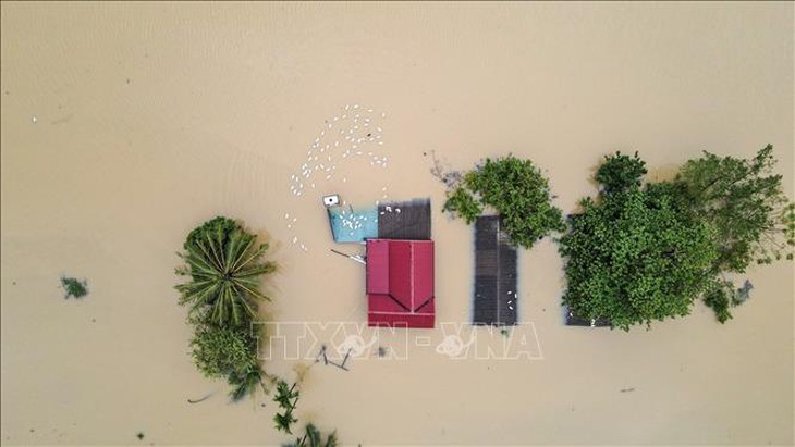 Hà Nội: Nước lũ sông Bùi lên mức báo động 3, vùng Chương Mỹ ngập nặng- Ảnh 4. Hà Nội: Nước lũ sông Bùi lên mức báo động 3, vùng Chương Mỹ ngập nặng- Ảnh 4.
