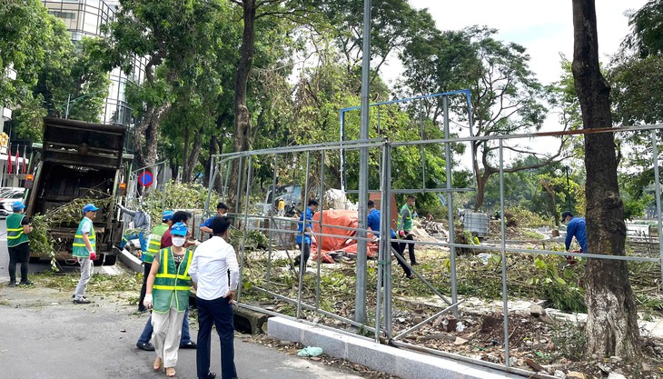 Hà Nội dự kiến ‘cứu’ khoảng 3 nghìn cây xanh bị gãy, đổ do bão số 3- Ảnh 1. Hà Nội dự kiến ‘cứu’ khoảng 3 nghìn cây xanh bị gãy, đổ do bão số 3- Ảnh 1.