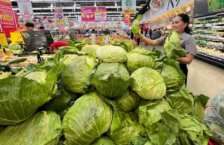 Thủ tướng: Không để găm hàng, nâng giá bất hợp lý các mặt hàng thiết yếu sau mưa lũ- Ảnh 1. Thủ tướng: Không để găm hàng, nâng giá bất hợp lý các mặt hàng thiết yếu sau mưa lũ- Ảnh 1.