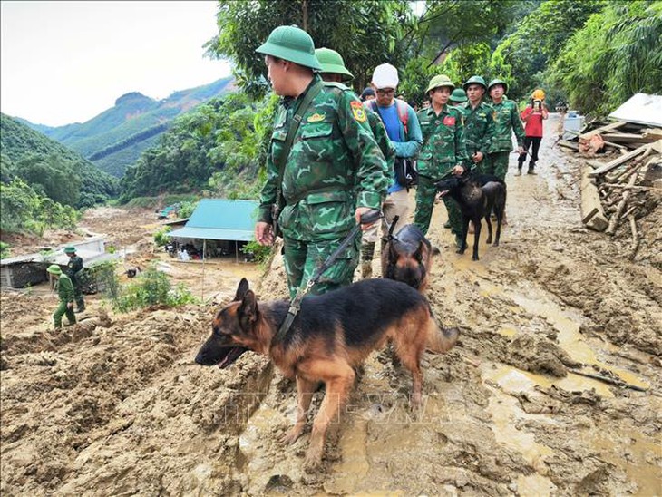 Vụ sạt lở ở Nậm Tông, Lào Cai: Nỗ lực tìm kiếm 5 người còn mất tích- Ảnh 1. Vụ sạt lở ở Nậm Tông, Lào Cai: Nỗ lực tìm kiếm 5 người còn mất tích- Ảnh 1.