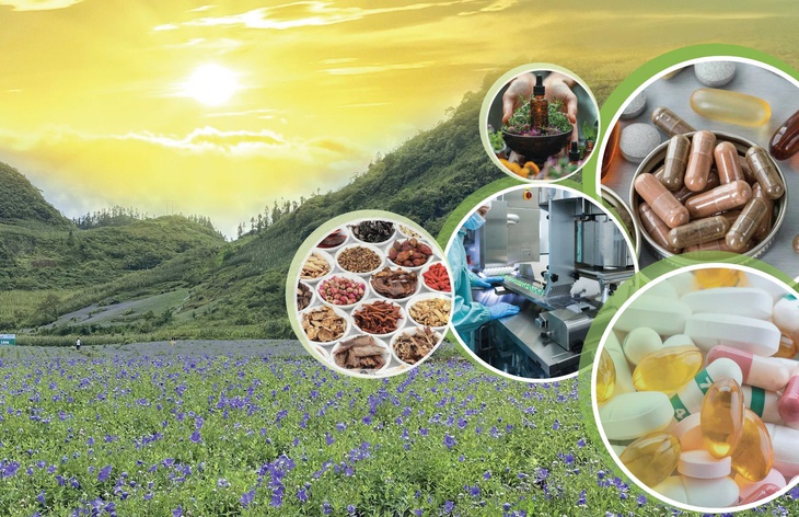Tăng cường kết nối giao thương phát triển thị trường sản phẩm dược liệu, y dược cổ truyền- Ảnh 1. Tăng cường kết nối giao thương phát triển thị trường sản phẩm dược liệu, y dược cổ truyền- Ảnh 1.