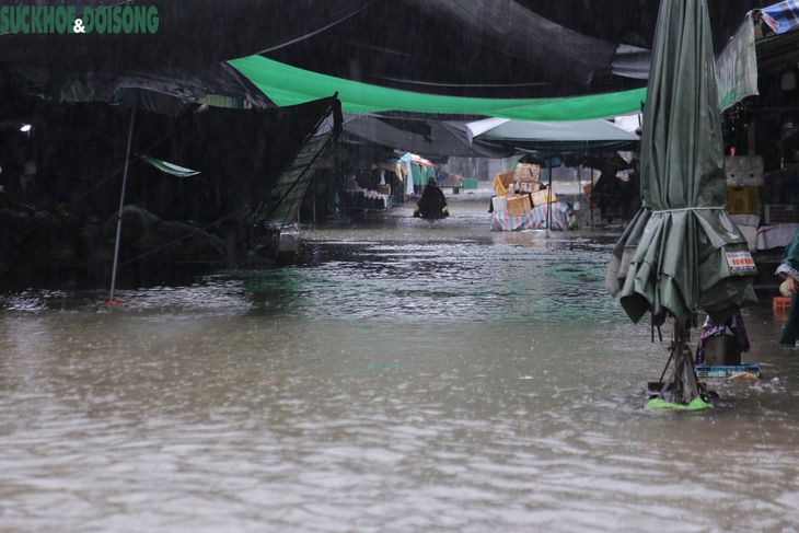 Nước dâng cao gây ngập sâu, tiểu thương chợ Vinh tất tả 'chạy đồ' lên cao- Ảnh 1. Nước dâng cao gây ngập sâu, tiểu thương chợ Vinh tất tả 'chạy đồ' lên cao- Ảnh 1.
