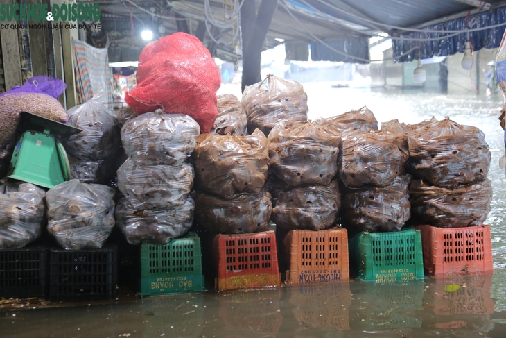 Nước dâng cao gây ngập sâu, tiểu thương chợ Vinh tất tả 'chạy đồ' lên cao- Ảnh 3. Nước dâng cao gây ngập sâu, tiểu thương chợ Vinh tất tả 'chạy đồ' lên cao- Ảnh 3.