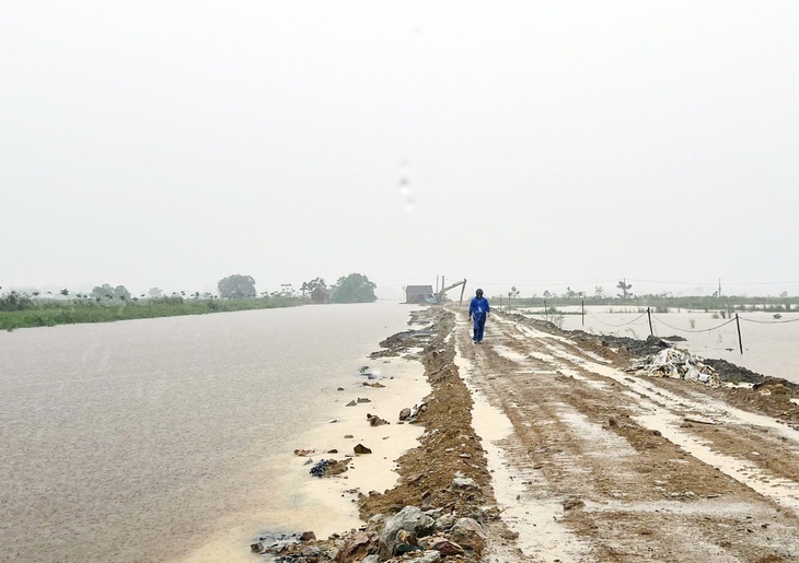 Lũ trên sông Lam đang dâng cao, nguy cơ tràn đê bao- Ảnh 1. Lũ trên sông Lam đang dâng cao, nguy cơ tràn đê bao- Ảnh 1.