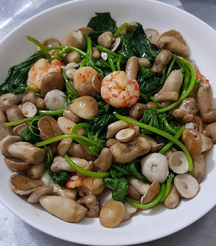 Độc đáo loài nấm 'ăn một lần nhớ mãi' chỉ mọc sau những cơn mưa- Ảnh 12.