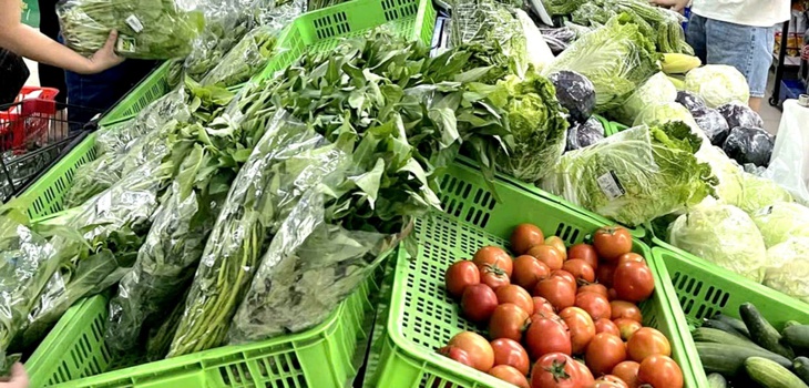Giá rau xanh tại Hà Nội đắt đỏ sau bão lũ- Ảnh 4.