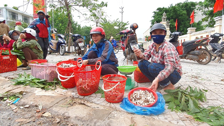 Độc đáo loài nấm 'ăn một lần nhớ mãi' chỉ mọc sau những cơn mưa- Ảnh 11.