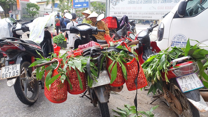 Độc đáo loài nấm 'ăn một lần nhớ mãi' chỉ mọc sau những cơn mưa- Ảnh 8.