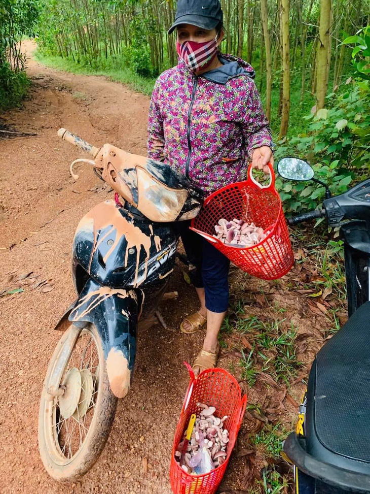 Độc đáo loài nấm 'ăn một lần nhớ mãi' chỉ mọc sau những cơn mưa- Ảnh 6.