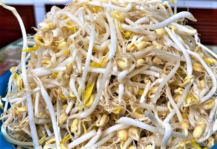 Chế độ ăn cho người bệnh thương hàn- Ảnh 3.