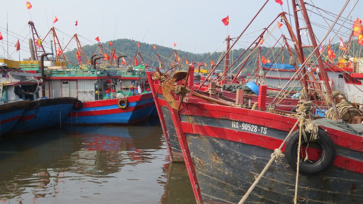 Nghệ An cấm tàu thuyền ra khơi từ 5h ngày 6/9 để tránh bão- Ảnh 1. Nghệ An cấm tàu thuyền ra khơi từ 5h ngày 6/9 để tránh bão- Ảnh 1.