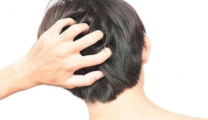 Tóc cần dinh dưỡng để phát triển, giúp tóc chắc khỏe, bóng mượt. Khi không được hấp thu dinh dưỡng đầy đủ, tóc sẽ dễ bị khô, xơ và dẫn đến gãy rụng. Tóc cần dinh dưỡng để phát triển, giúp tóc chắc khỏe, bóng mượt. Khi không được hấp thu dinh dưỡng đầy đủ, tóc sẽ dễ bị khô, xơ và dẫn đến gãy rụng.