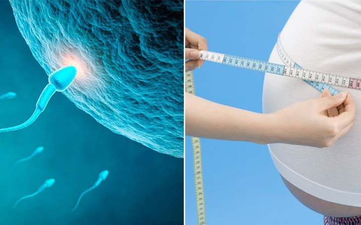Nam giới béo phì cần giảm cân để giảm nguy cơ vô sinh- Ảnh 2.