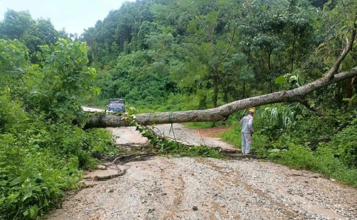 Yên Bái: Hơn 100 ngôi nhà bị thiệt hại do siêu bão Yagi- Ảnh 4. Yên Bái: Hơn 100 ngôi nhà bị thiệt hại do siêu bão Yagi- Ảnh 4.