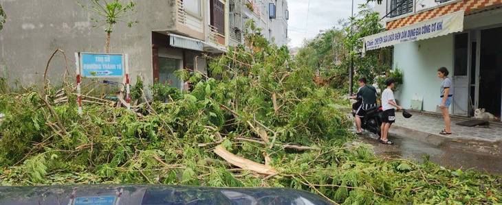 Những hình ảnh của Hải Phòng hôm nay 8/9 khi bão Yagi đi qua- Ảnh 4. Những hình ảnh của Hải Phòng hôm nay 8/9 khi bão Yagi đi qua- Ảnh 4.