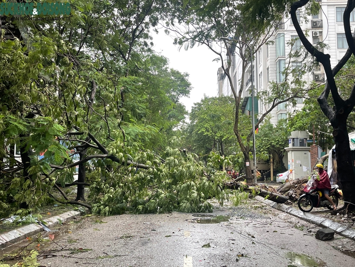 Đường phố Hà Nội khi bão Yagi đi qua- Ảnh 1.