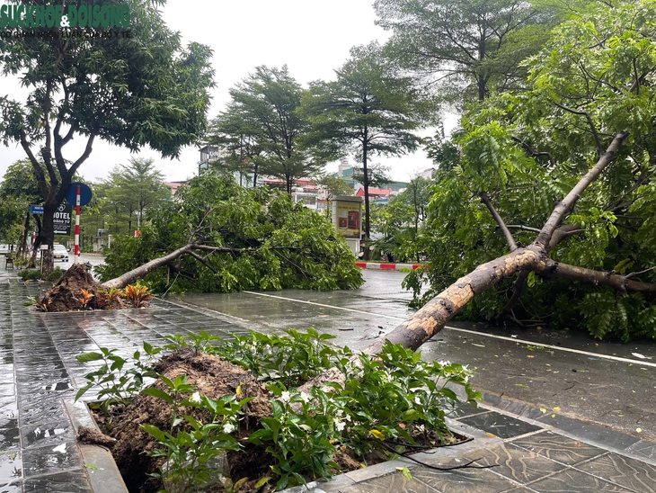 Đường phố Hà Nội khi bão Yagi đi qua- Ảnh 3.