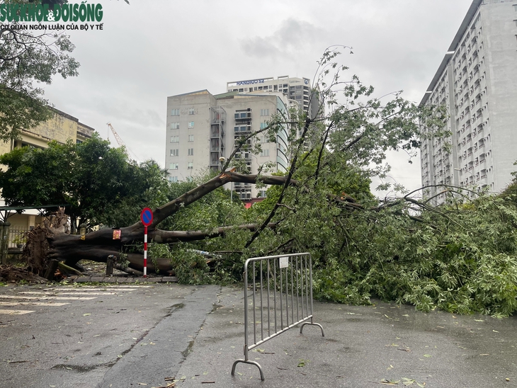 Đường phố Hà Nội khi bão Yagi đi qua- Ảnh 6.