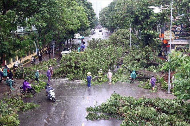 Trên 25.000 cây xanh ở Hà Nội gãy đổ do bão số 3- Ảnh 1.