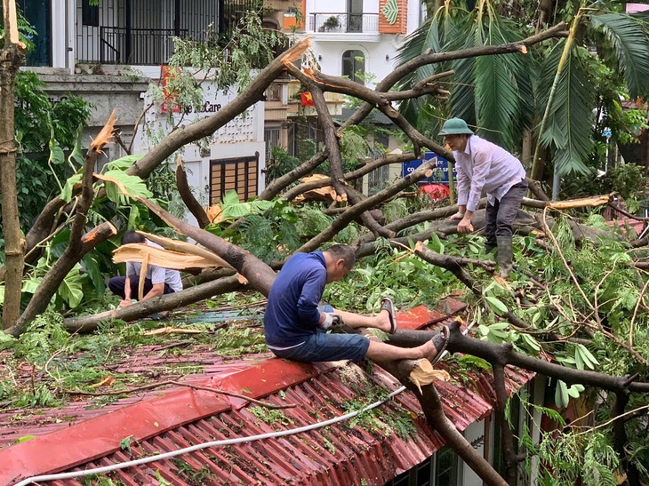 Trường học ở Hà Nội gấp rút khắc phục hậu quả do bão số 3- Ảnh 1. Trường học ở Hà Nội gấp rút khắc phục hậu quả do bão số 3- Ảnh 1.