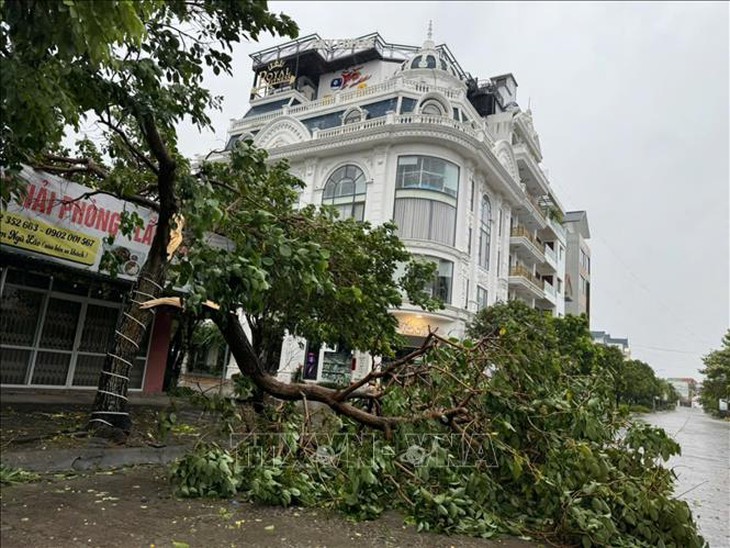 Đề nghị truy tặng Huy hiệu Tuổi trẻ dũng cảm cho quân nhân hy sinh khi làm nhiệm vụ phòng, chống bão số 3- Ảnh 1. Đề nghị truy tặng Huy hiệu Tuổi trẻ dũng cảm cho quân nhân hy sinh khi làm nhiệm vụ phòng, chống bão số 3- Ảnh 1.