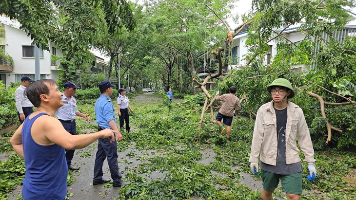 Xà cừ 100 tuổi nhà NSƯT Chiều Xuân bật gốc, NSND Xuân Bắc dọn dẹp sau bão Yagi- Ảnh 7.