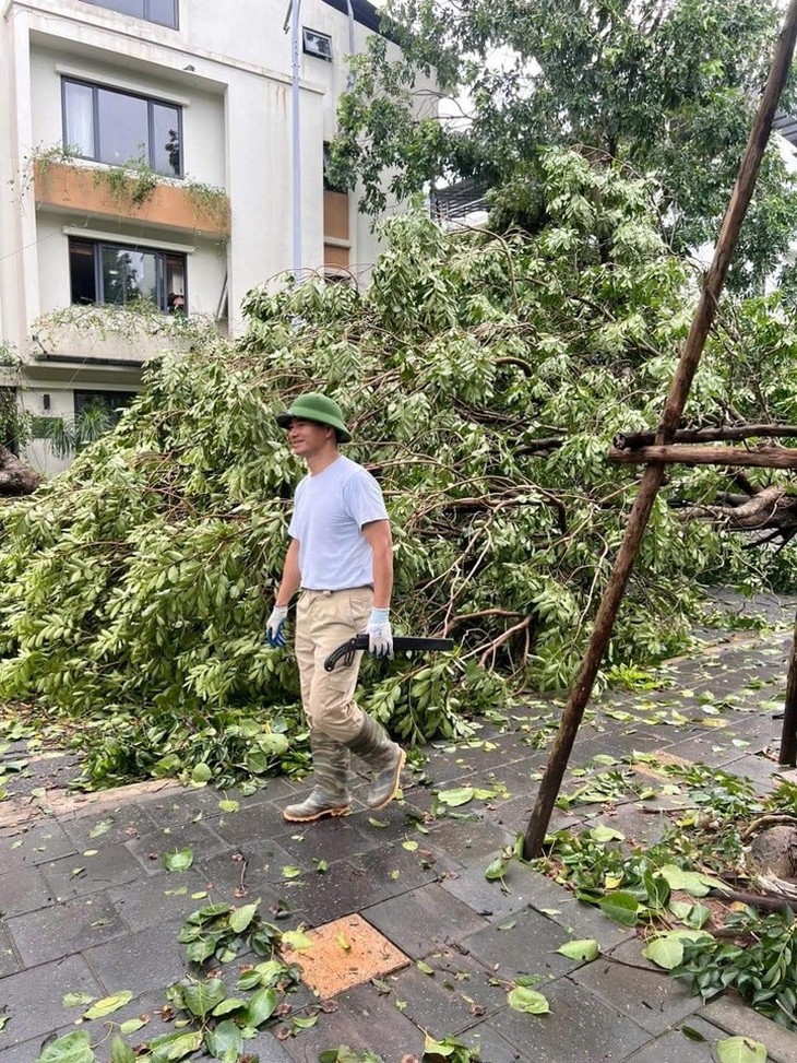 Xà cừ 100 tuổi nhà NSƯT Chiều Xuân bật gốc, NSND Xuân Bắc dọn dẹp sau bão Yagi- Ảnh 6.