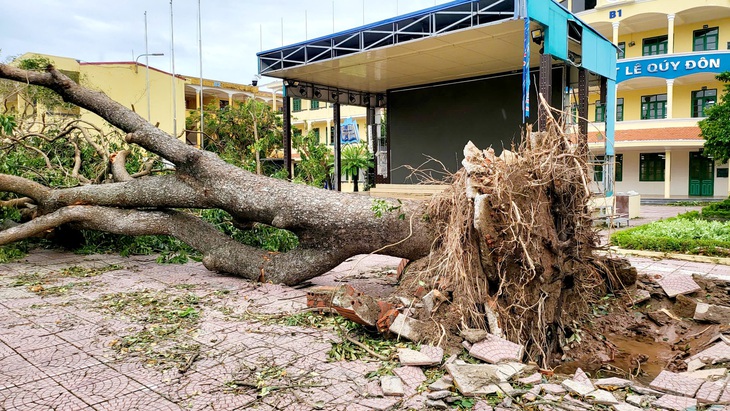 Các trường học ở Hải Phòng, Hải Dương khẩn trương khắc phục sự cố sau bão số 3- Ảnh 1.