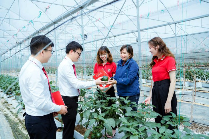 Cần sớm công bố điều kiện tiếp cận gói tín dụng 110.000 tỷ đồng- Ảnh 1.