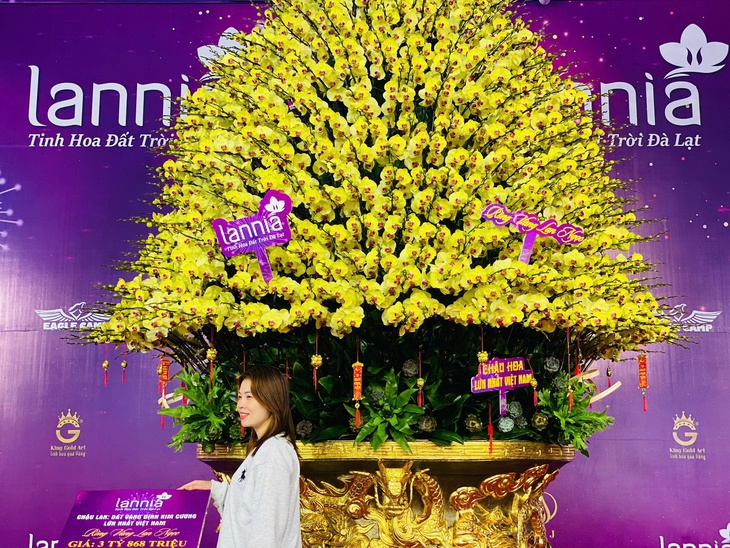 Lan hồ điệp rực rỡ sắc màu đổ bộ xuống phố phục vụ người dân sắm tết Nguyên đán 2025- Ảnh 10. Lan hồ điệp rực rỡ sắc màu đổ bộ xuống phố phục vụ người dân sắm tết Nguyên đán 2025- Ảnh 10.