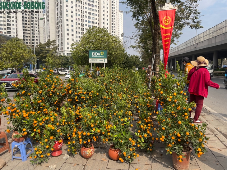 Vỉa hè đường Phạm Văn Đồng, Hà Nội bị 'xẻ thịt', thành chỗ đỗ xe, buôn bán- Ảnh 8. Vỉa hè đường Phạm Văn Đồng, Hà Nội bị 'xẻ thịt', thành chỗ đỗ xe, buôn bán- Ảnh 8.