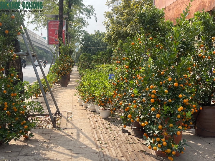 Vỉa hè đường Phạm Văn Đồng, Hà Nội bị 'xẻ thịt', thành chỗ đỗ xe, buôn bán- Ảnh 9. Vỉa hè đường Phạm Văn Đồng, Hà Nội bị 'xẻ thịt', thành chỗ đỗ xe, buôn bán- Ảnh 9.