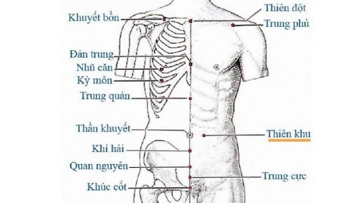 Xoa bóp, bấm huyệt trị đầy bụng khó tiêu- Ảnh 3. Xoa bóp, bấm huyệt trị đầy bụng khó tiêu- Ảnh 3.