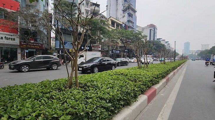 Vì sao hàng cây tường vi bị cắt trơ trụi trên tuyến đường đẹp nhất Thủ đô?- Ảnh 1. Vì sao hàng cây tường vi bị cắt trơ trụi trên tuyến đường đẹp nhất Thủ đô?- Ảnh 1.